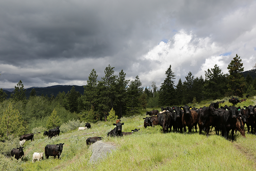 Double R Ranch Loomis WA