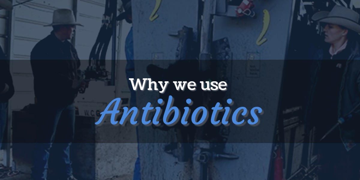 Why We Use Antibiotics