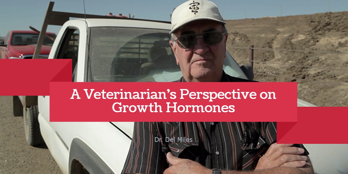 A Veterinarian's Perspective on Growth Hormones