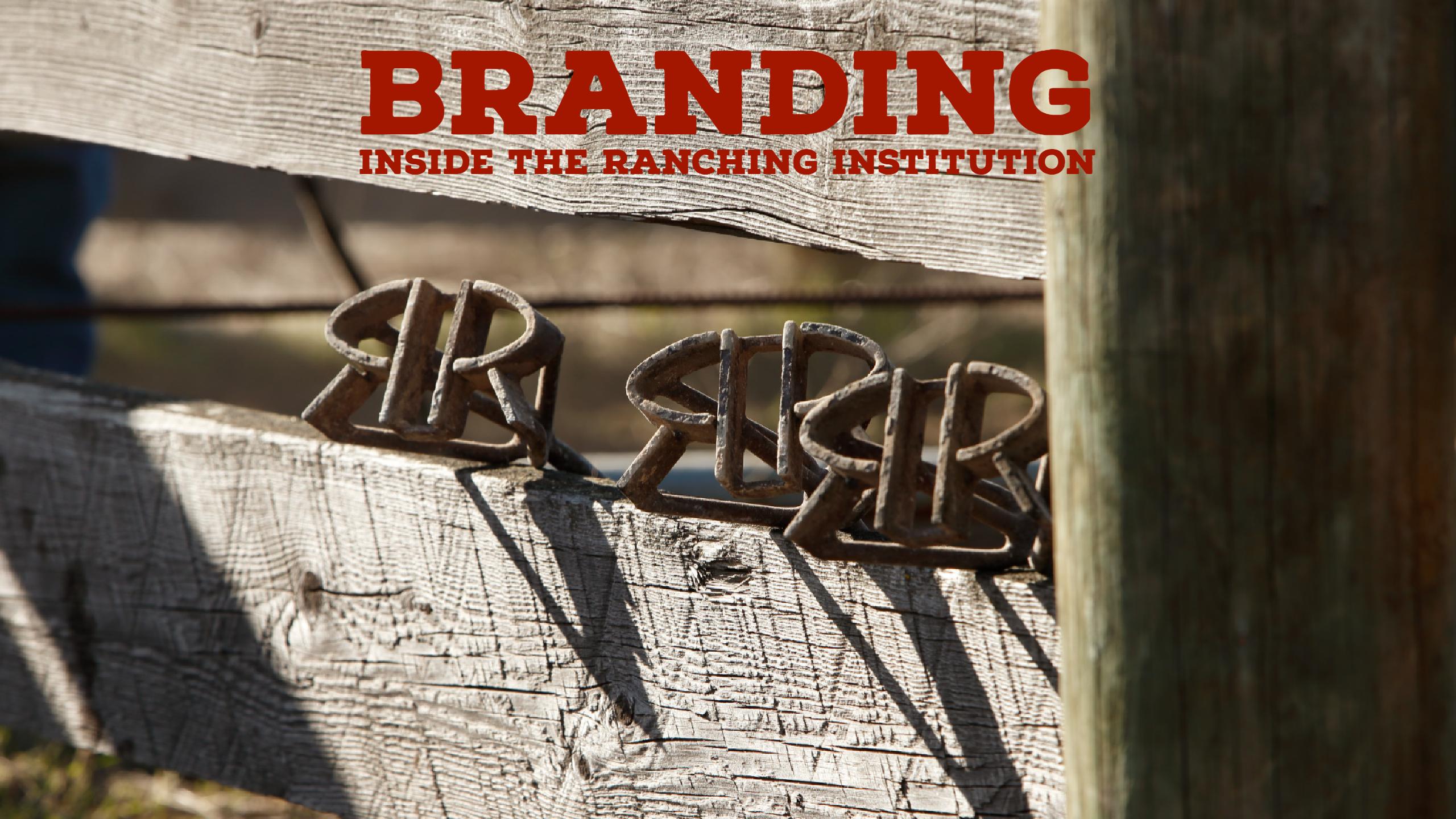 Learn the Hows and Whys Behind Branding Cattle